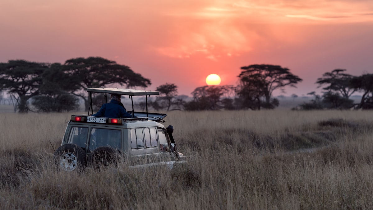 Hunter glassing across golden South African bushveld at sunrise with acacia trees on the horizon