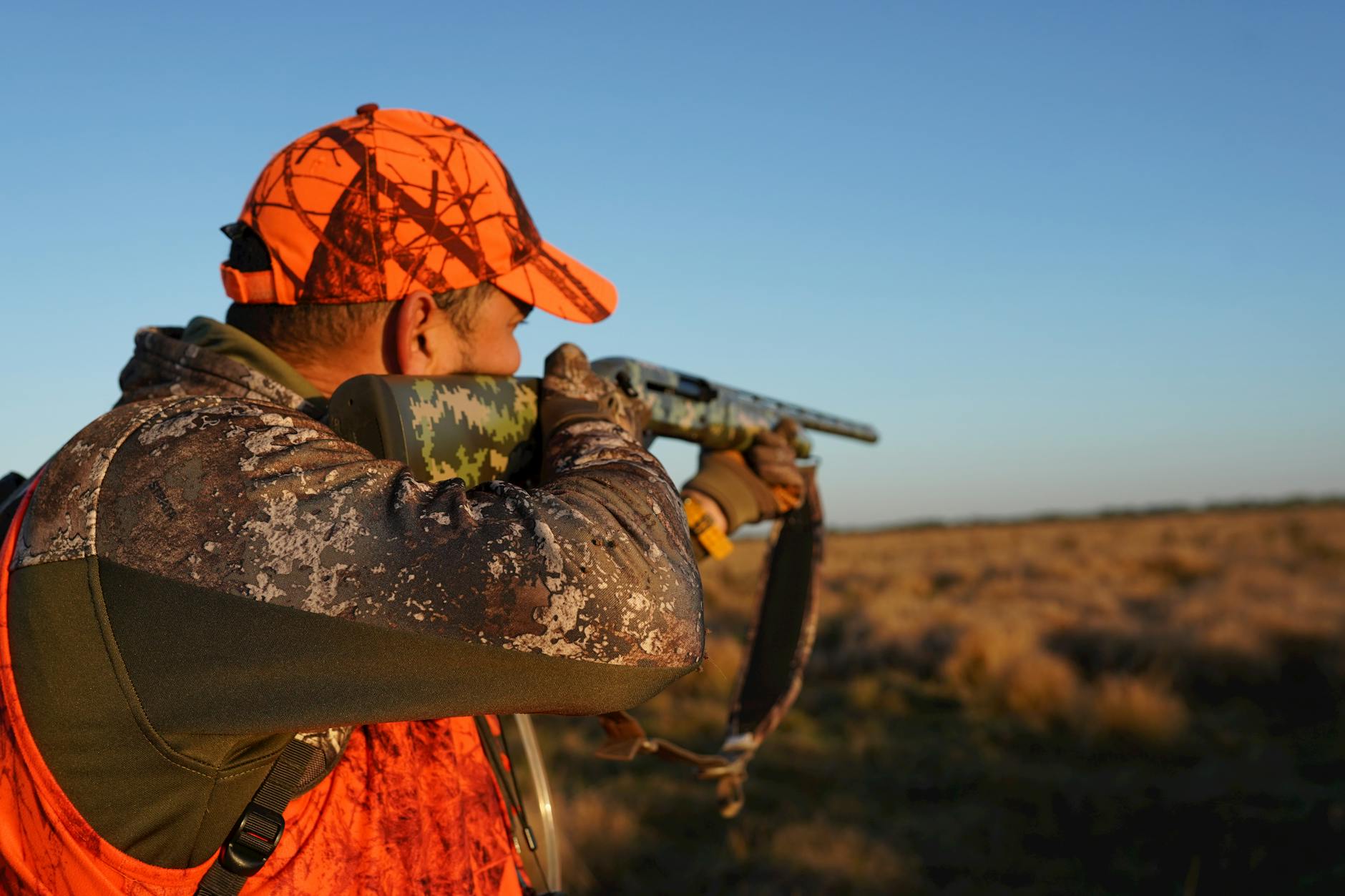Collection of western state hunting license applications with preference point summary sheets