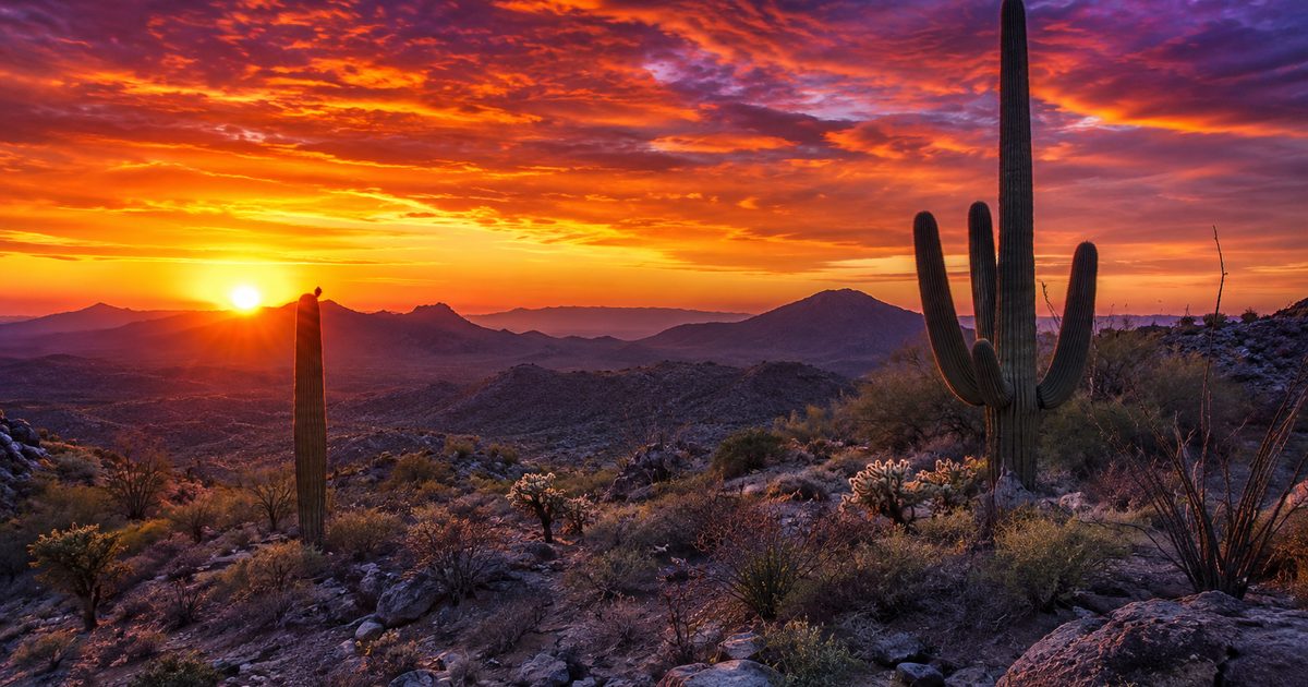 Desert mountain landscape in Arizona with saguaro cactus at sunset
