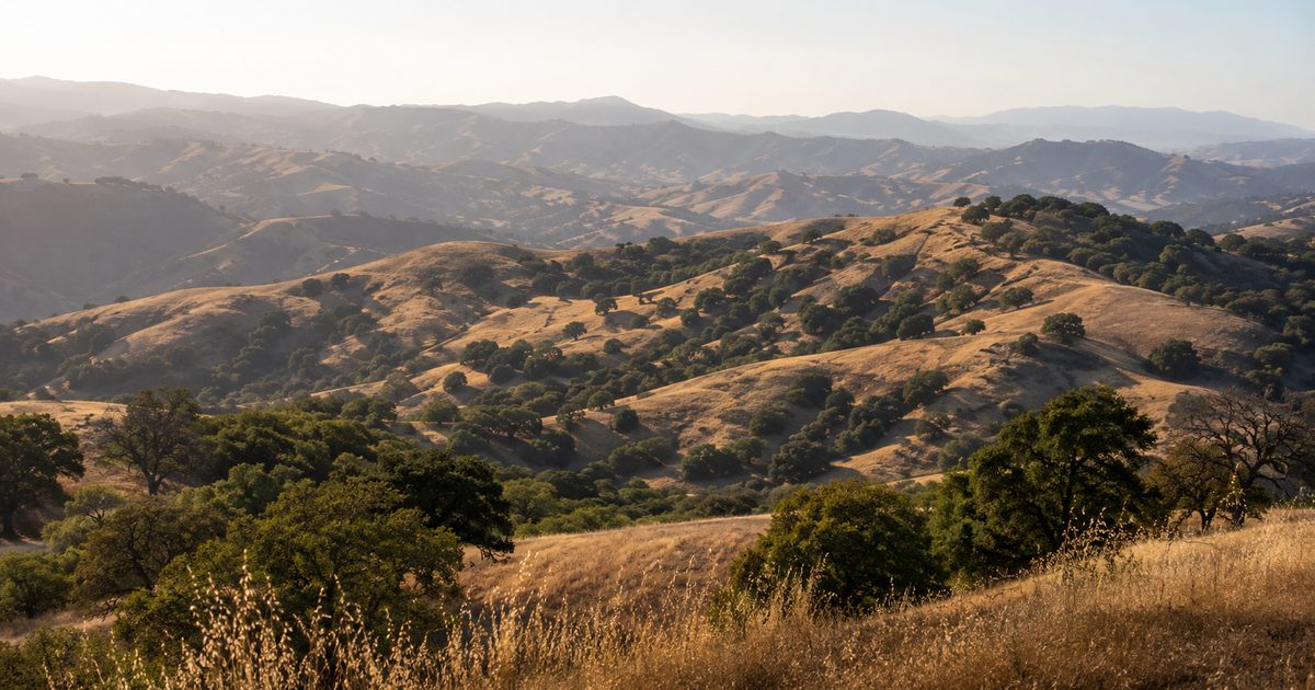 California coastal range terrain with oak woodlands prime deer habitat