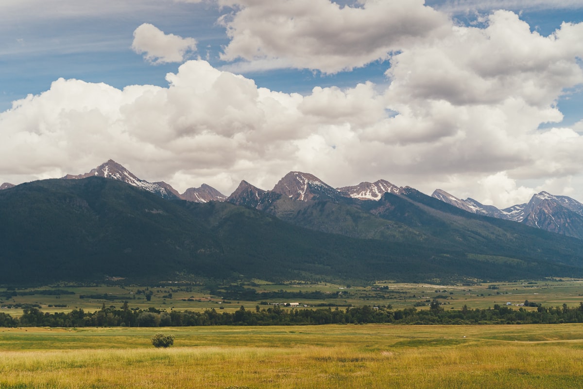 Hunter glassing from a high ridge overlooking vast public land with national forest stretching to the horizon